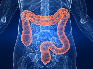 Une flore intestinale en santé : énergie et une bonne immunité